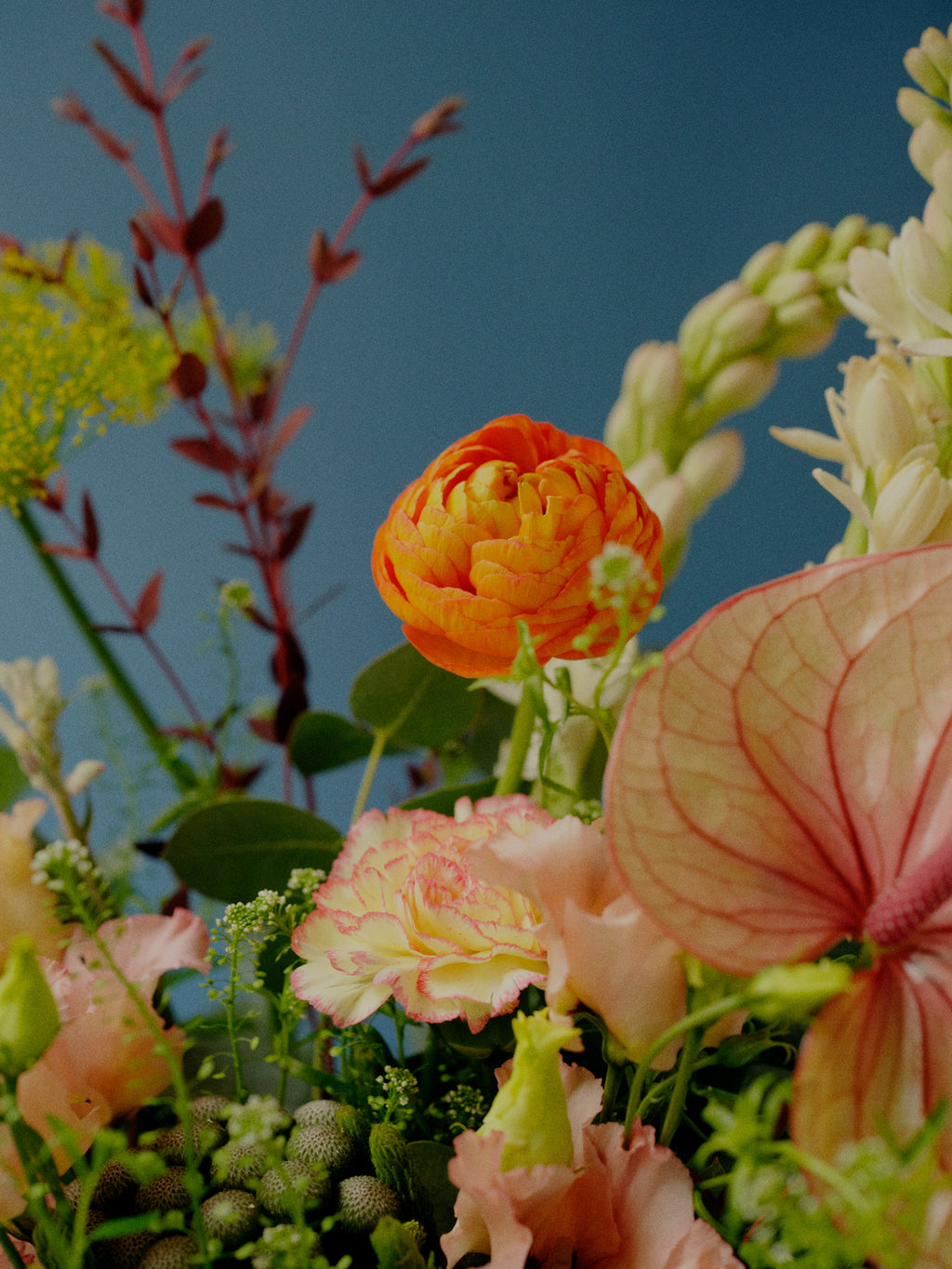 Brighton and Hove Florist Flower Delivery