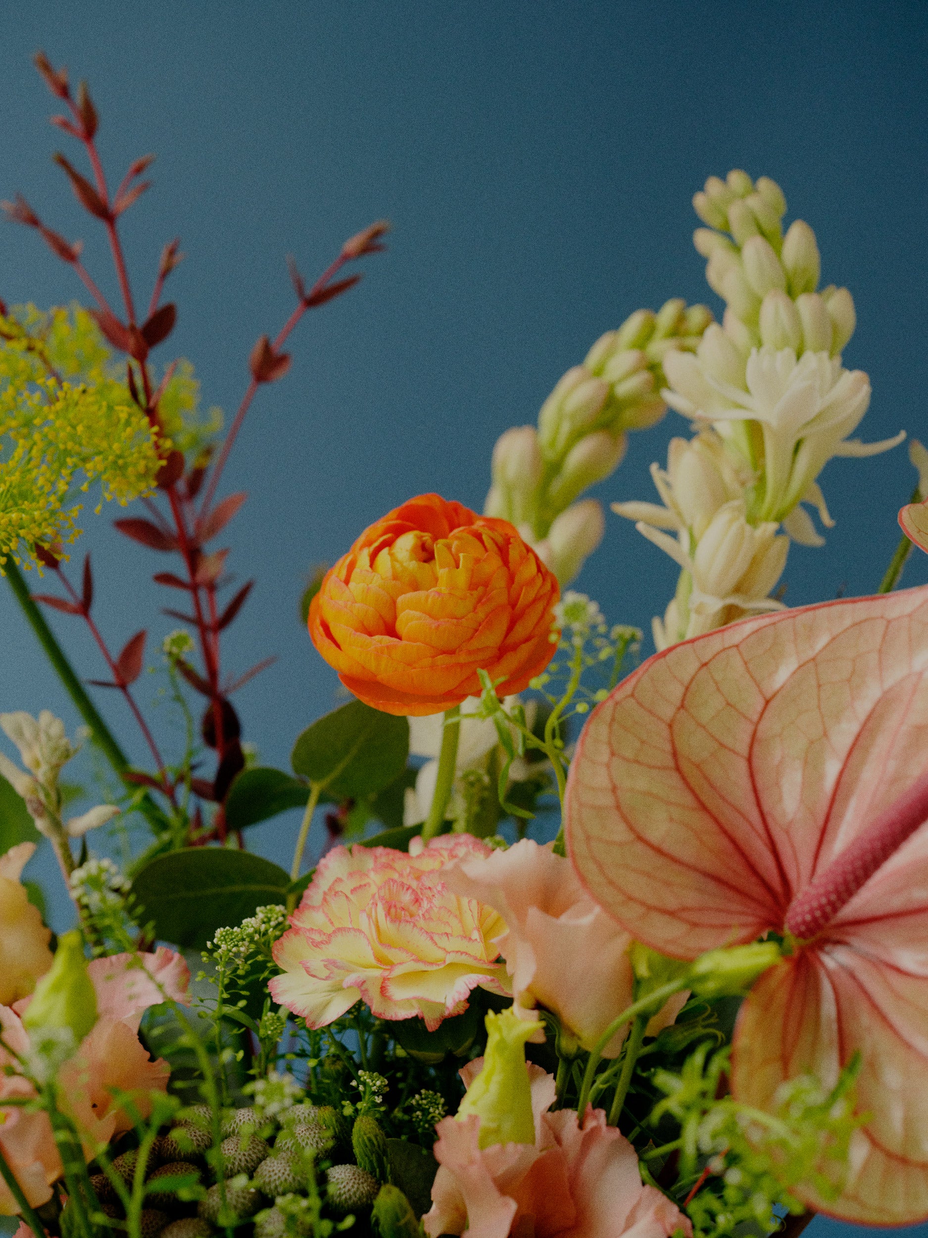 Brighton and Hove Florist Flower Delivery