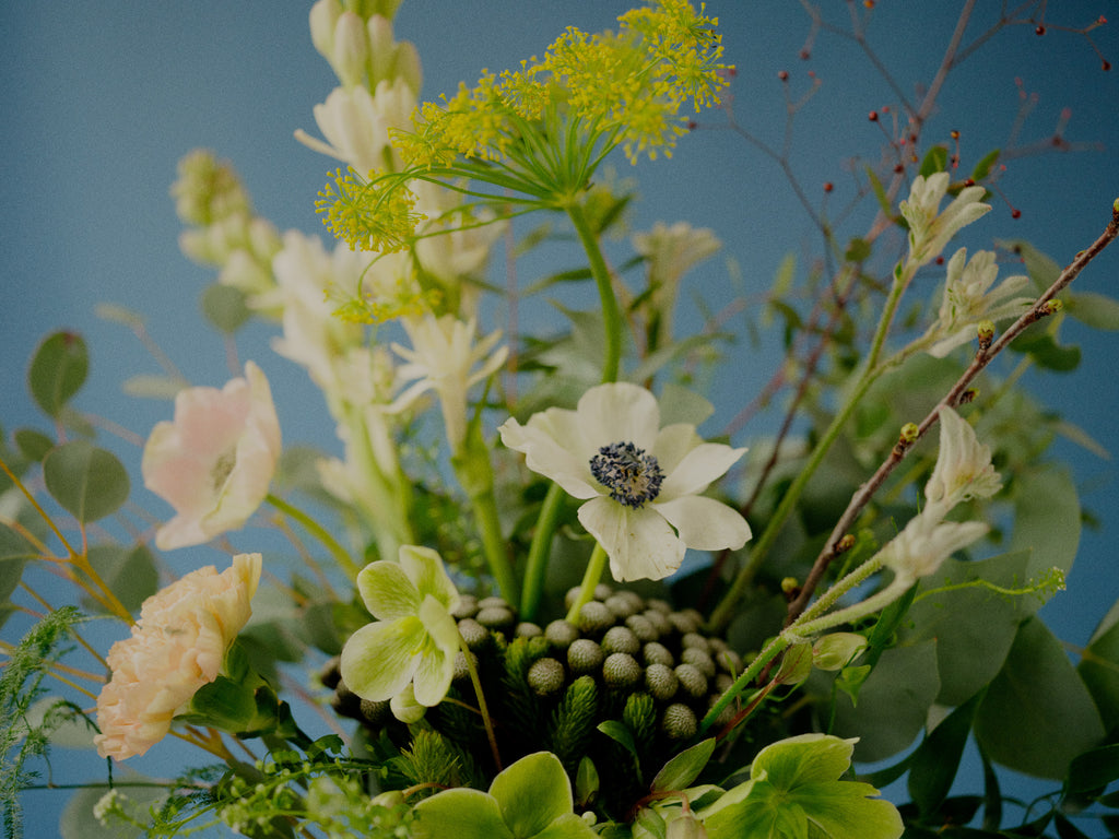 Brighton and Hove Florist Flower Delivery