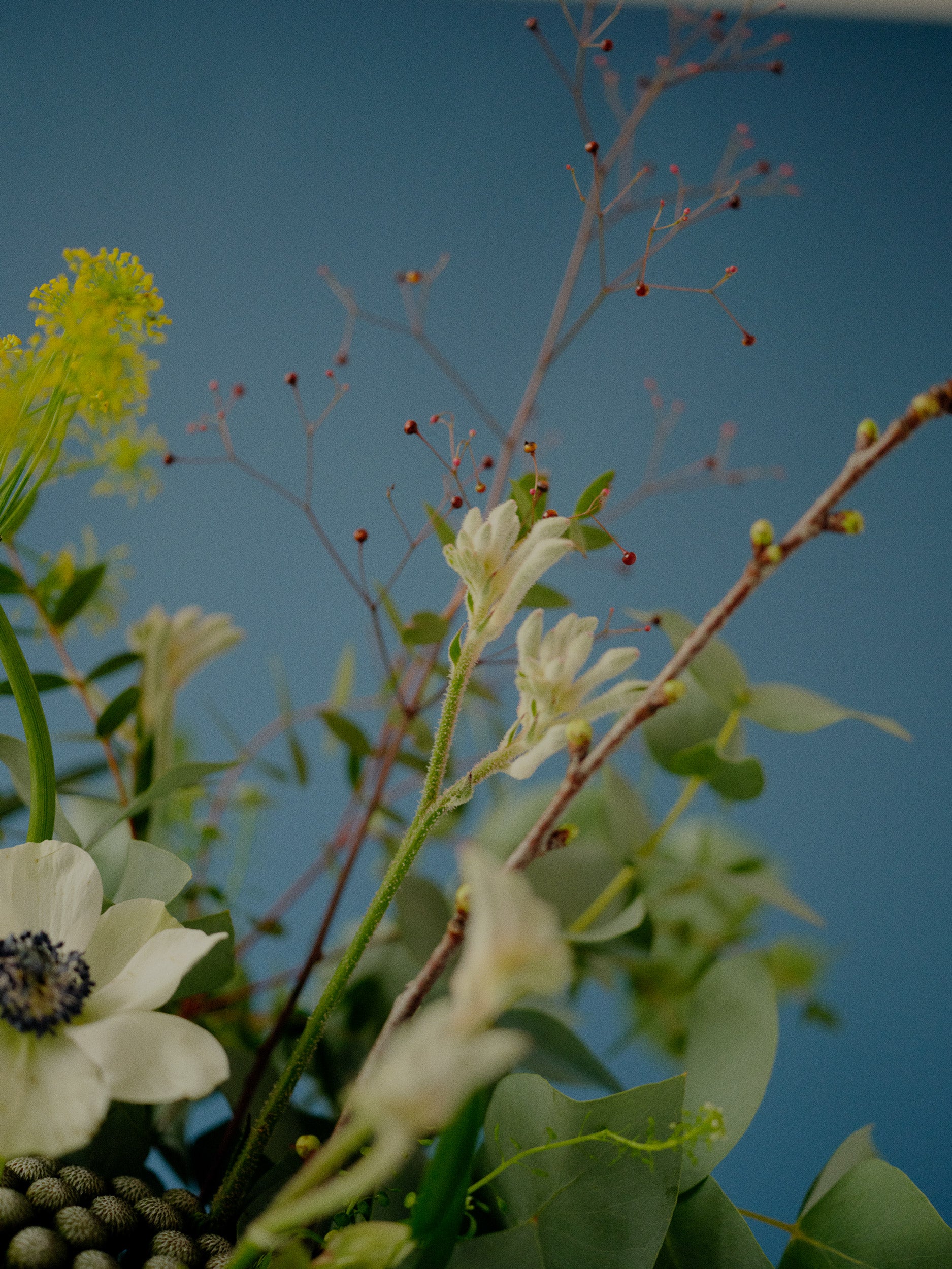 Brighton and Hove Florist Flower Delivery