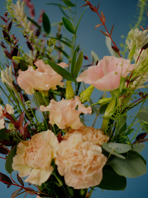 Brighton and Hove Florist Flower Delivery