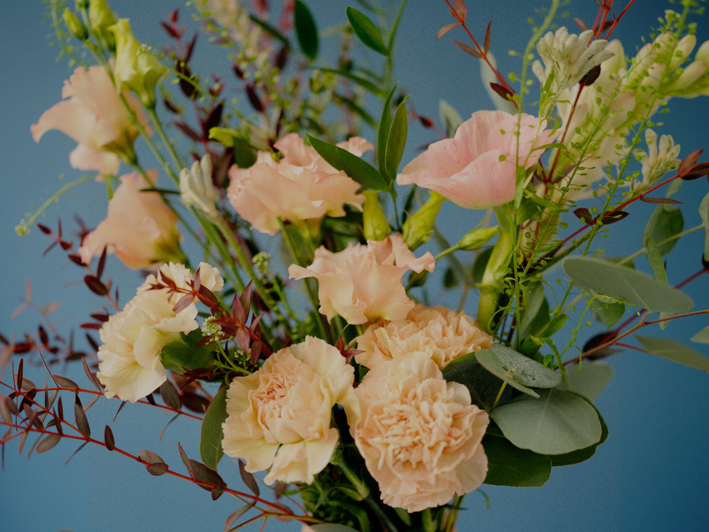 Brighton and Hove Florist Flower Delivery