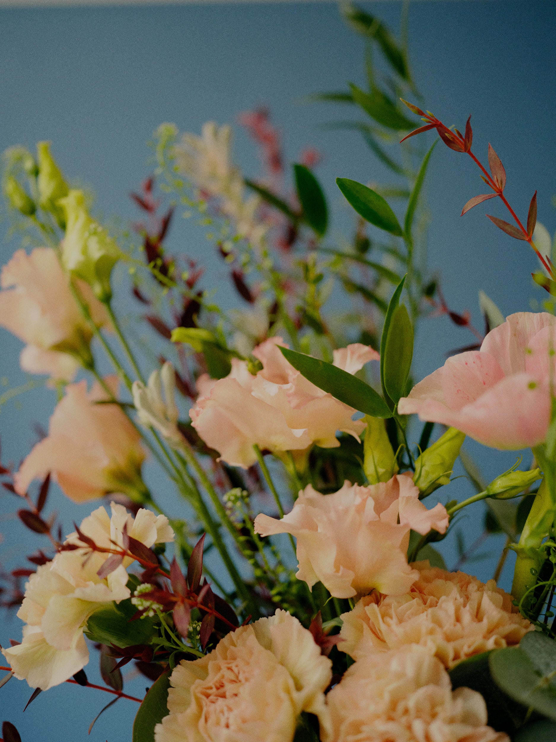 Brighton and Hove Florist Flower Delivery